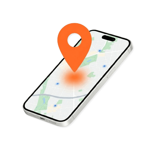 Local SEO growth visualization